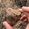 Tsarev meteorite (L5) - 148.9g