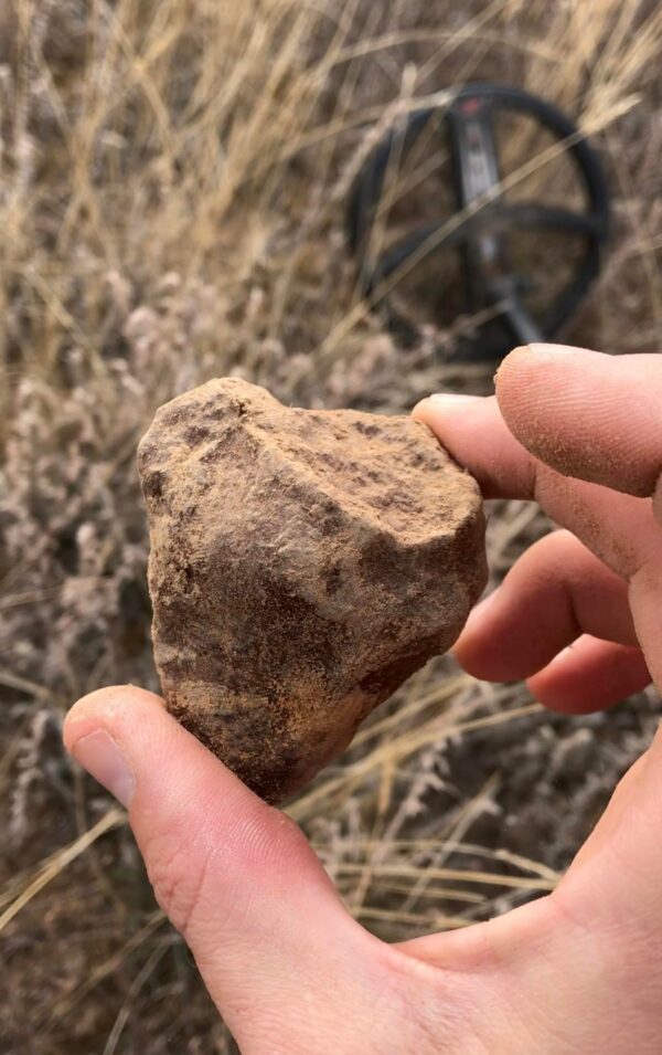 Tsarev meteorite (L5) - 148.9g