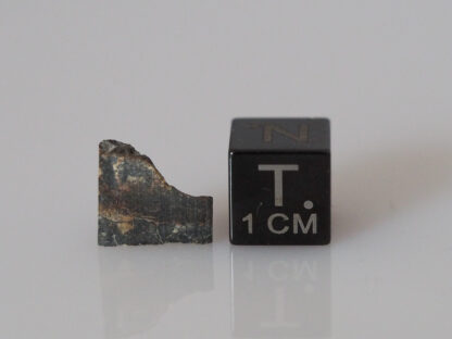 NWA 12741 (diogenite meteorite) - 0.46g