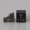 NWA 12741 (diogenite meteorite) - 0.46g