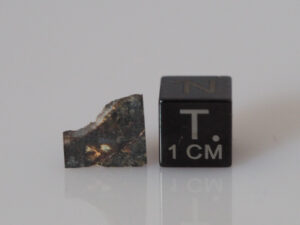 NWA 12741 (diogenite meteorite) - 0.46g