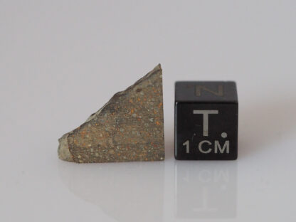 NWA 8791 meteorite (R3-5) - 1.25g