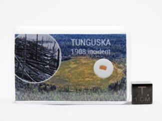 Tunguska wood fragment