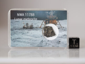 NWA 11788 (lunar) - 0.593g