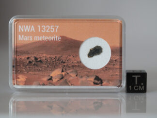 NWA 13257 (Mars) - 0.031g