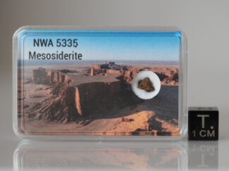 NWA 5335 (mesosiderite) - 0.126g