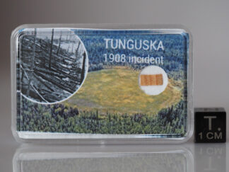 Tunguska wood