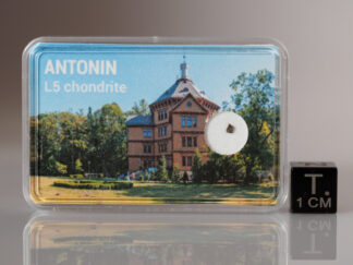 Antonin (L5) - micro