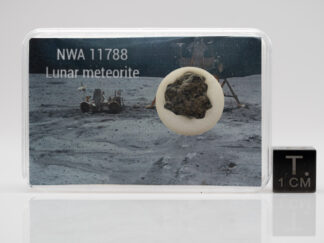 NWA 11788 (lunar) - 0.589g
