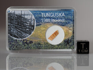 Tunguska wood
