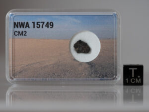 NWA 15749 (CM2) - 0.260g fragment