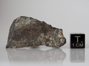 NWA 869 (L3-6) - 12.82 g slice