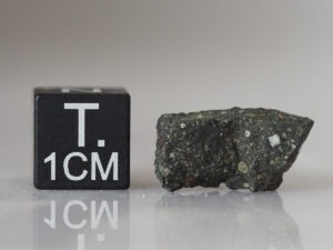 Murchison (CM2) - 1.74 g fragment