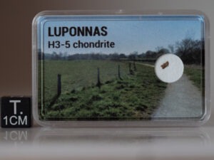 Luponnas (H3-5) - fragment nr 21