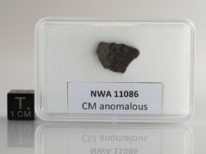 NWA 11086 (CM-an, proposed as CT3) - 1.066g fragment