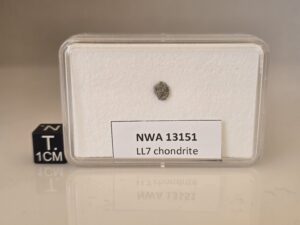 NWA 13151 (LL7) - 0.078g fragment