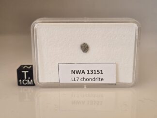 NWA 13151 (LL7) - 0.078g fragment