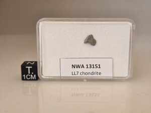 NWA 13151 (LL7) - 0.153g fragment