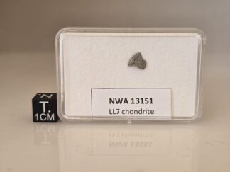NWA 13151 (LL7) - 0.153g fragment