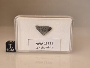 NWA 13151 (LL7)
