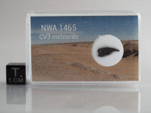 NWA 1465 (CV3-an) - 0.192g part slice