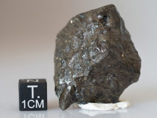 Saricicek (howardite) - 23.8g individual crusted