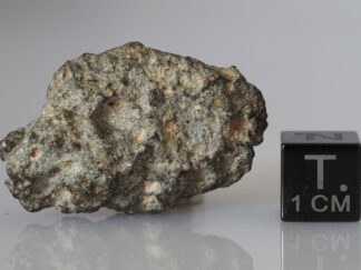 NWA 11331 (lunar) - 11.64g individual