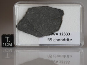 NWA 12333 (R5) - 4.62g slice