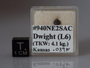 Dwight (L6) - 0.039g