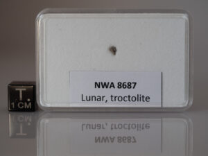 NWA 8687 (lunar, troctolite)