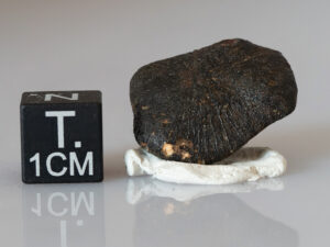 Camel Donga (eucrite) - 4.62g individual