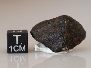 Camel Donga (eucrite) - 7.74g oriented individual
