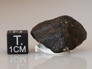 Camel Donga (eucrite) - 7.74g oriented individual