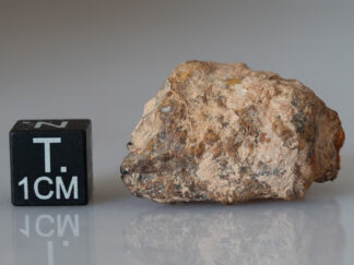 NWA 14593 (aubrite) - 15.68g fragment