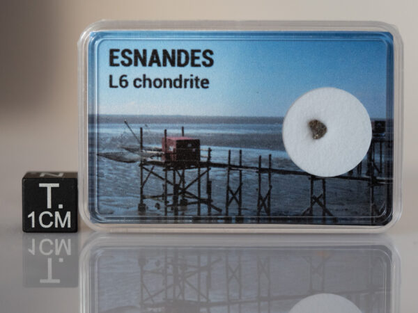 Esnandes (L6) - fragment
