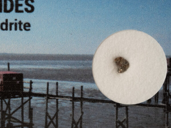 Esnandes (L6) - fragment - Image 2