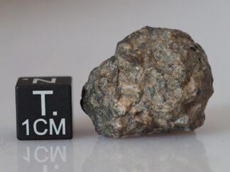 Bechar 006 (lunar) - 10.05g individual