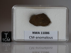 NWA 11086 (CM-an, proposed as CT3) - 1.88g endcut