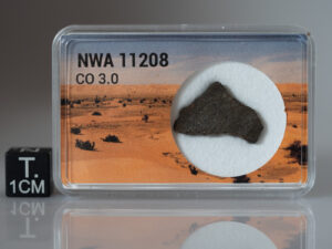 NWA 11208 (CO3.0) - 1.19g part slice