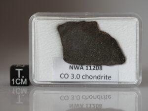 NWA 11208 (CO3.0) - 4.08g part slice
