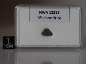 NWA 12333 (R5) - 0.161g fragment