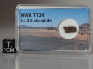 NWA 7134 (LL 3.8) - 0.266g part slice
