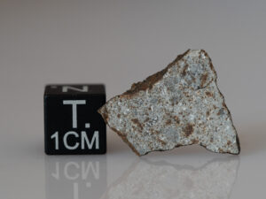 Camel Donga (eucrite) - 1.16g part slice crusted