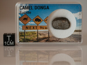 Camel Donga (eucrite) - 1.40g endcut crusted