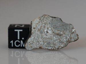 Camel Donga (eucrite) - 1.47g part slice crusted