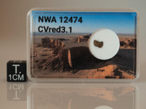 NWA 12474 (CVred3.1) - 0.032g fragment