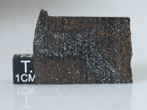 NWA 16397 (acapulcoite) - 2.776g part slice
