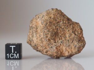 NWA 10502 (LL3 chondrite) - 41.8g individual