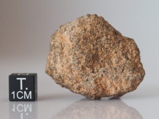 NWA 10502 (LL3 chondrite) - 41.8g individual