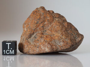 NWA 10502 (LL3 chondrite) - 69.2g individual